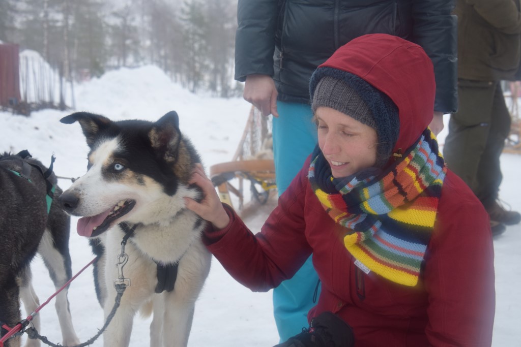 Kanada-/Alaska-Edition